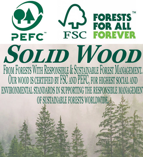 Auburn University Class Year Plaque With Name - Personalized for Student, Alumni or Graduation Gift