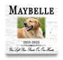 Pet Memorial Photo Plaque – “Paw Prints On Our Hearts” Custom Sign