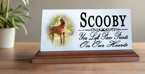 Pet Memorial With Picture Solid Marble - Dog or Cat Loss Sympathy Gift 4" x 8"