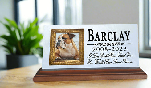 Pet Picture Memorial Plaque for Shelf or Mantel - Solid Marble - 4" x 8" If Love Could Have Saved You