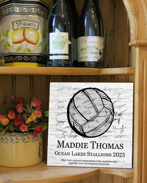 Volleyball Trophy Plaque - Recognition Award - for Players, Senior Season Gift, MVP or Coaches