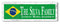Brazilian Flag Sign - Personalized Family Name - Custom Wood Brazilian Heritage Gift