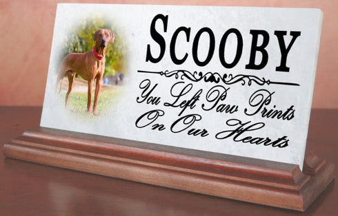 Pet Memorial With Picture Solid Marble - Dog or Cat Loss Sympathy Gift 4" x 8"