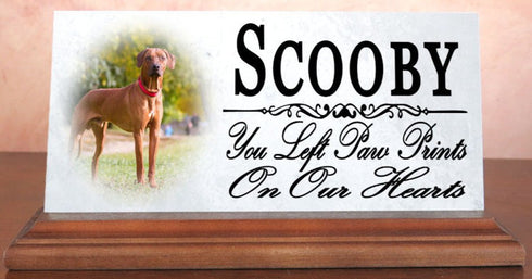 Pet Memorial With Picture Solid Marble - Dog or Cat Loss Sympathy Gift 4" x 8"