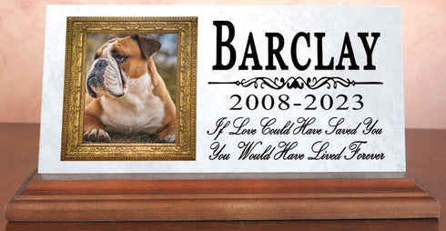 Pet Picture Memorial Plaque for Shelf or Mantel - Solid Marble - 4" x 8" If Love Could Have Saved You