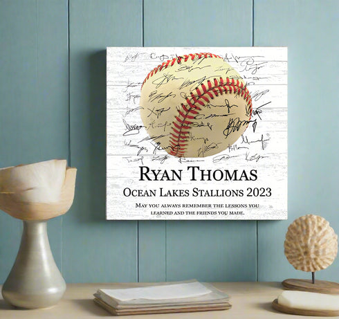 Baseball Plaque Recognition Award Signable Personalized Senior Season End Gift or MVP