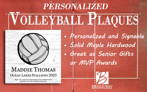 Volleyball Plaque Recognition Award Personalized Senior Player Season End Gift or MVP