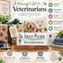Veterinarian Desk Nameplate