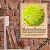 Tennis Award Plaque - Custom Signable Team Gift - Solid Wood