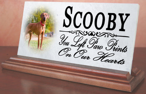 Broad Bay Pet Memorial With Picture Solid Marble - Dog or Cat Loss Sympathy Gift  4" x 8"