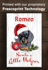 Personalized Dachshund Christmas Decoration - 16.5" x 10.5"